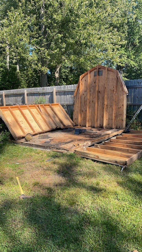 Shed Removal