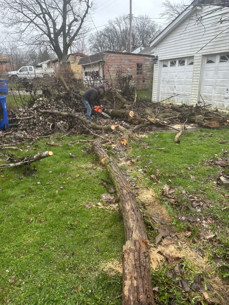 Cleveland Tree Removal