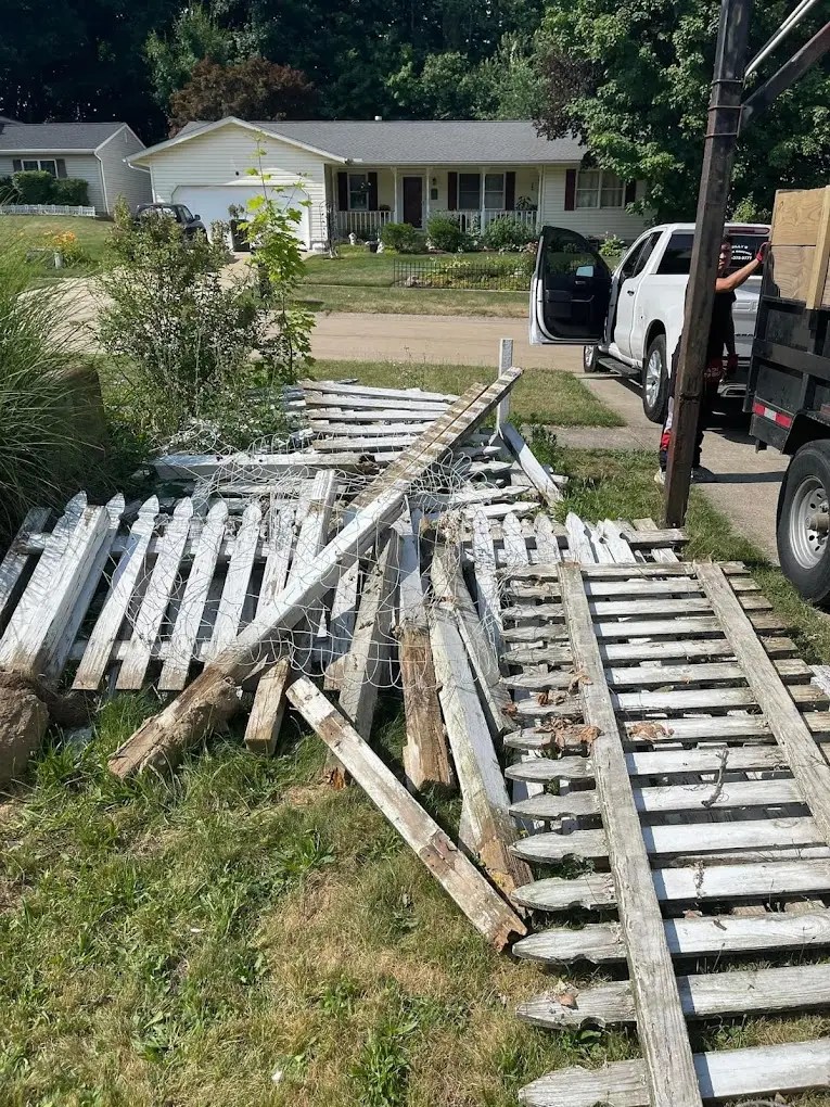 Bolly Fence Removal